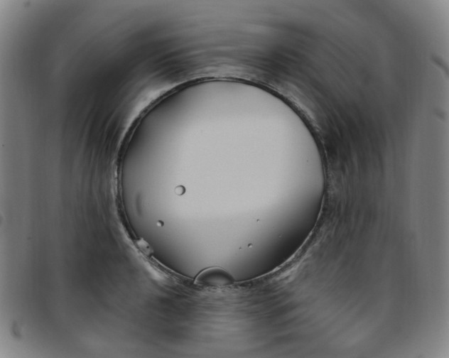 X0000097471040200803071649