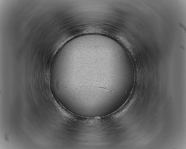 X0000097471041200803071649
