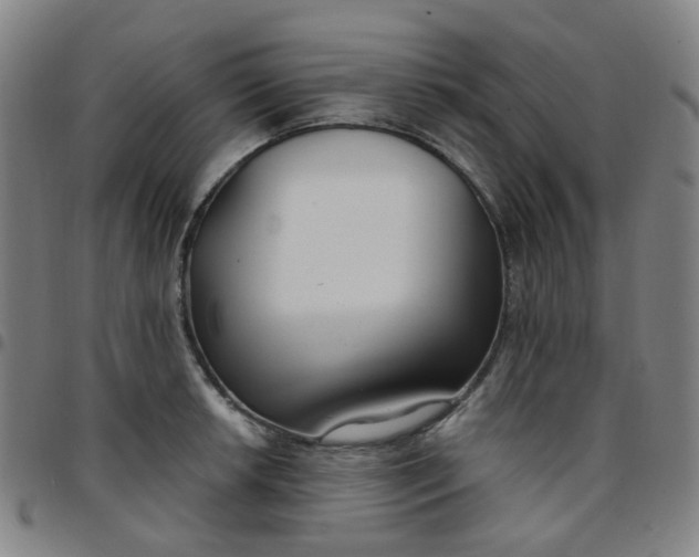 X0000097471042200803071649