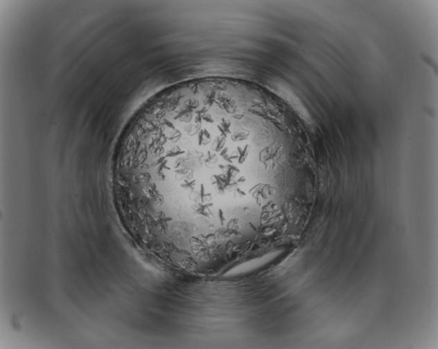 X0000097471043200803071649