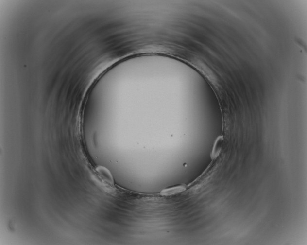 X0000097471044200803071649