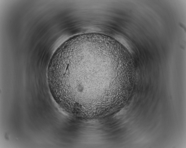 X0000097471047200803071649