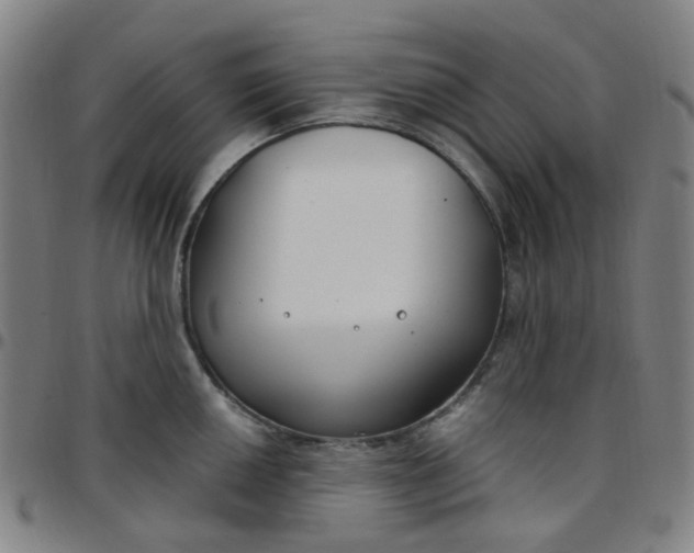 X0000097471050200803071649