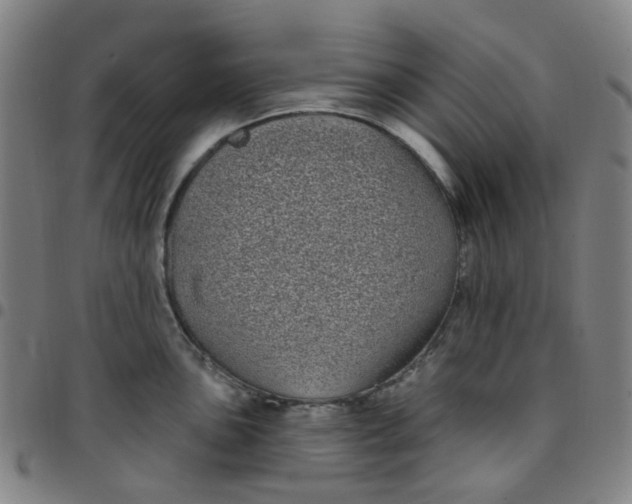 X0000097471051200803071649