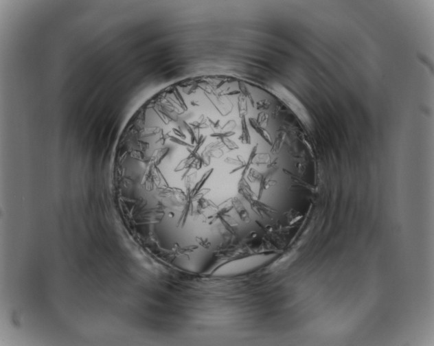 X0000097471052200803071649