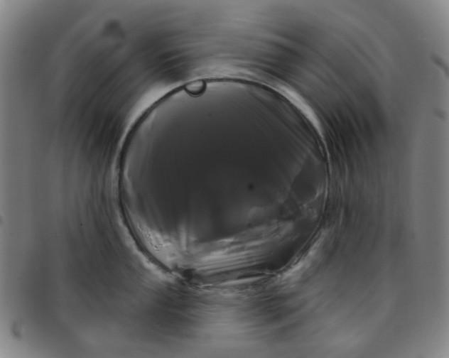 X0000097471053200803071649