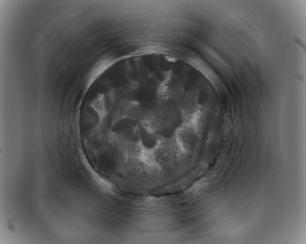 X0000097471055200803071649