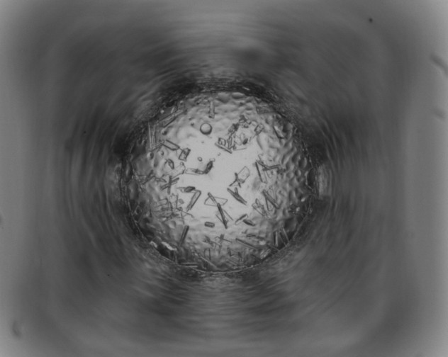 X0000097471059200803071648