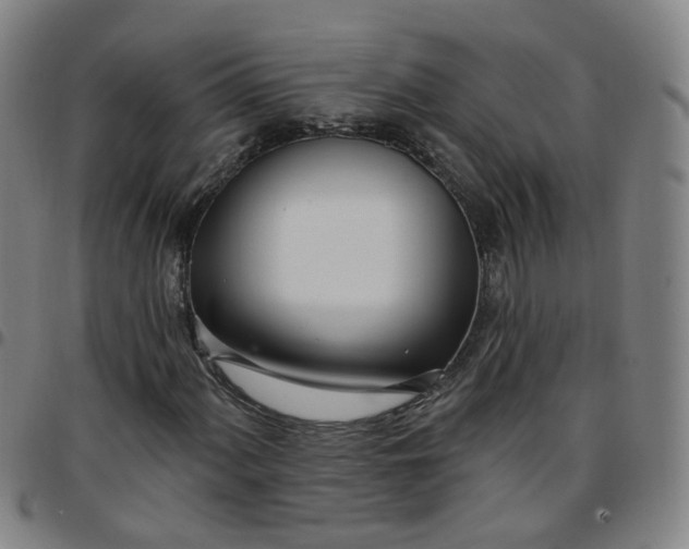 X0000097471060200803071648