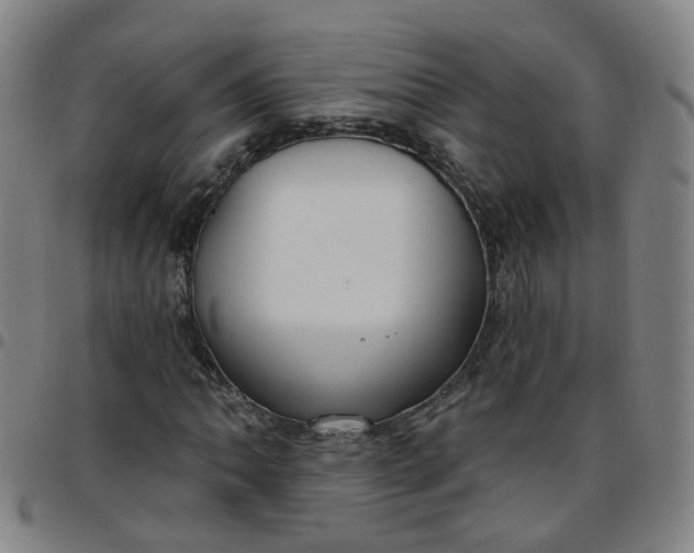 X0000097471062200803071648