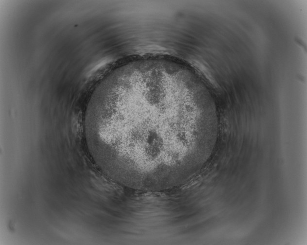 X0000097471063200803071648