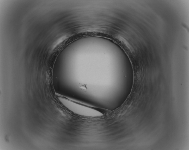 X0000097471064200803071648