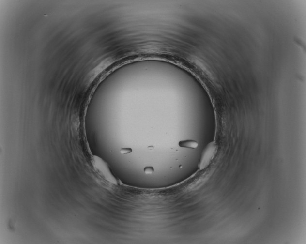 X0000097471065200803071648