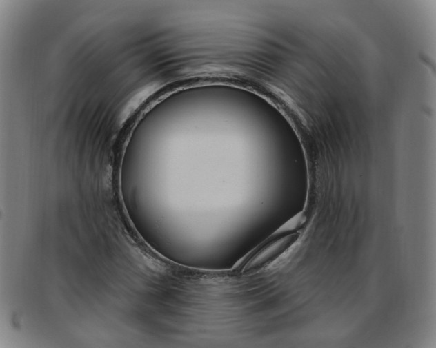 X0000097471066200803071648