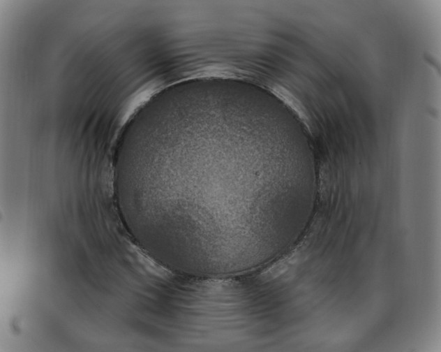 X0000097471067200803071648
