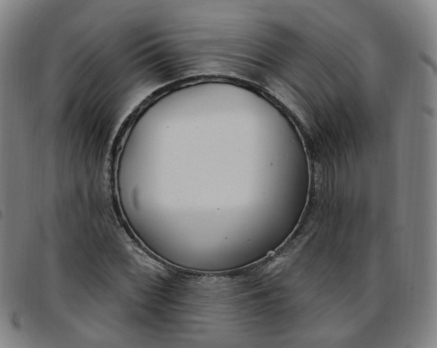 X0000097471068200803071648
