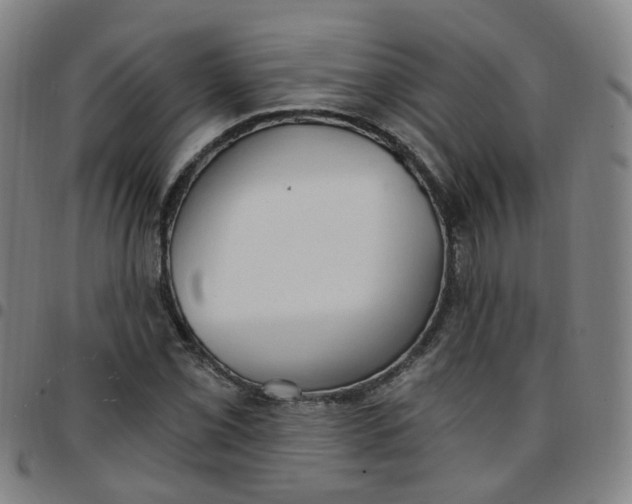 X0000097471069200803071648