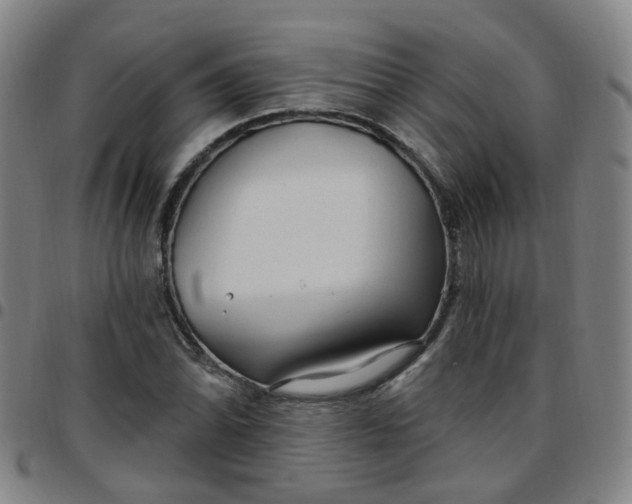 X0000097471070200803071648