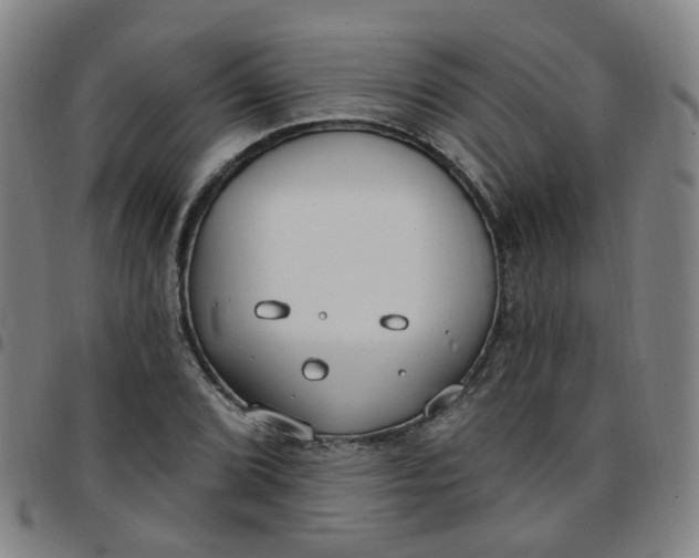 X0000097471072200803071648