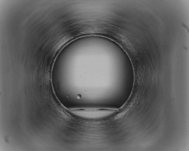 X0000097471073200803071648