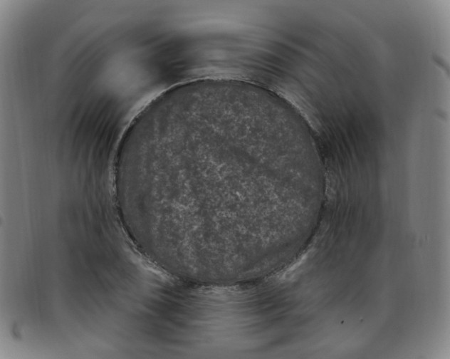 X0000097471074200803071648