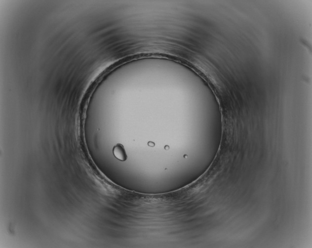 X0000097471076200803071648