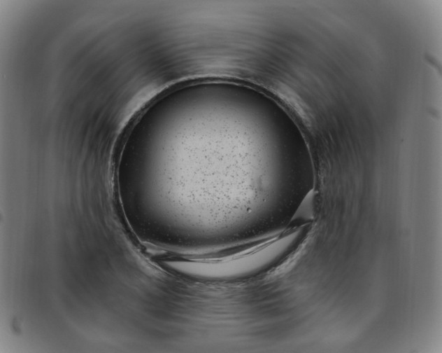 X0000097471077200803071648