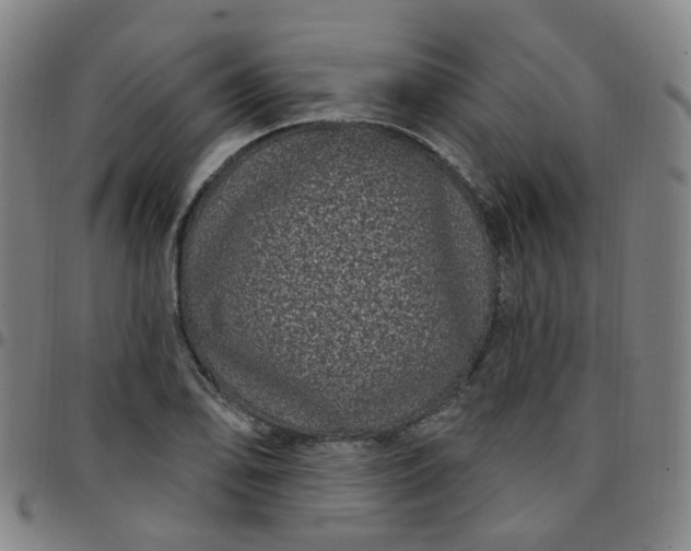 X0000097471078200803071648