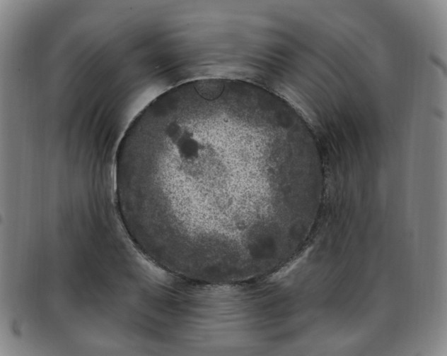 X0000097471079200803071648