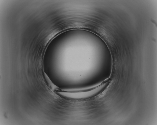 X0000097471081200803071648