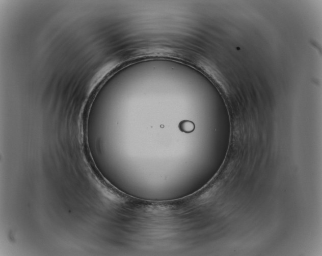 X0000097471082200803071648