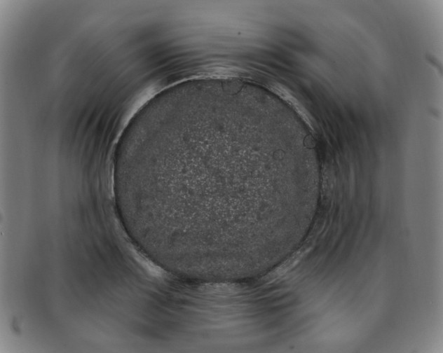X0000097471083200803071648