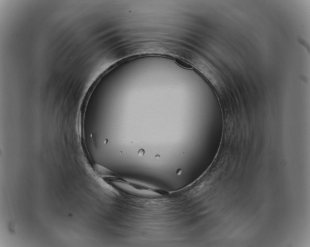 X0000097471084200803071648