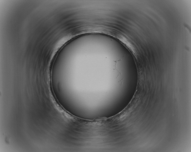 X0000097471088200803071648
