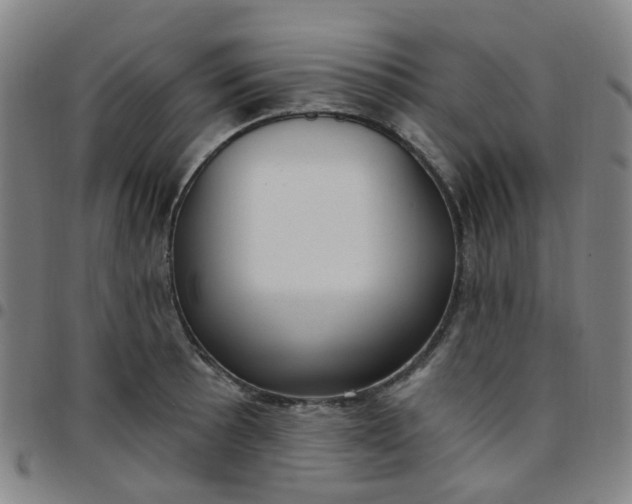 X0000097471089200803071648