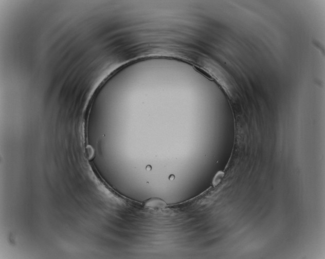 X0000097471092200803071648