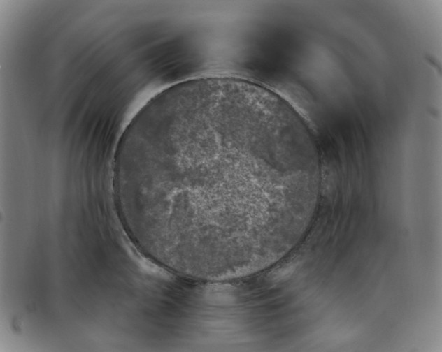 X0000097471094200803071648
