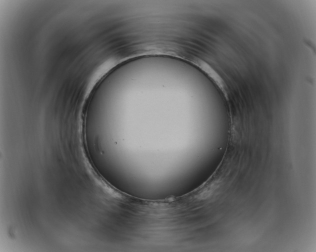 X0000097471096200803071648