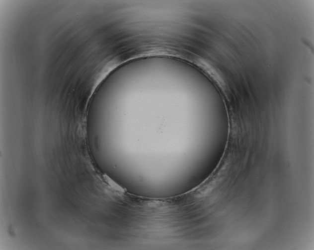 X0000097471097200803071648