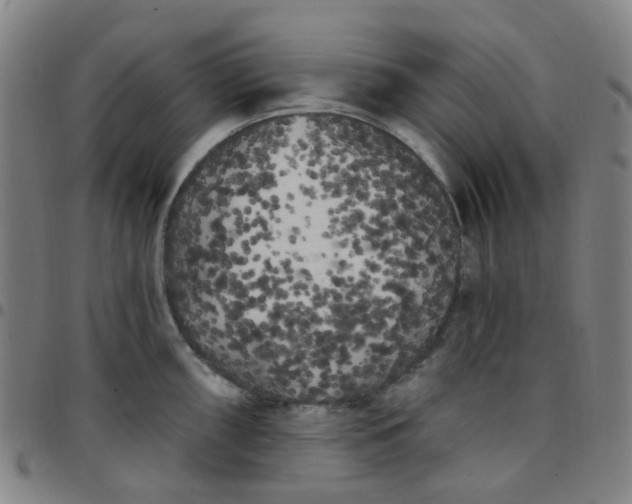 X0000097471098200803071648