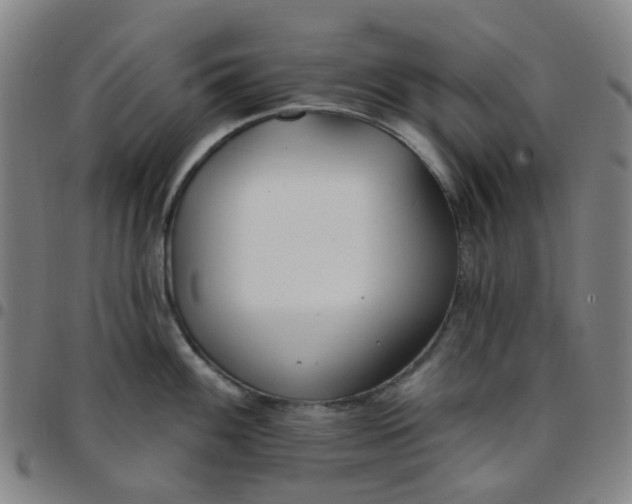 X0000097471100200803071648