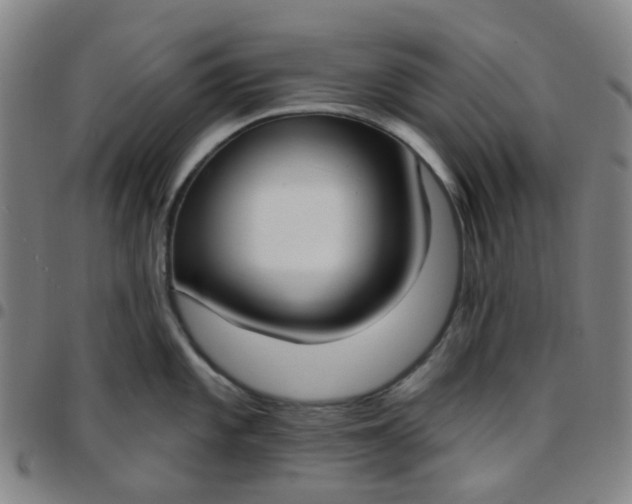 X0000097471101200803071648