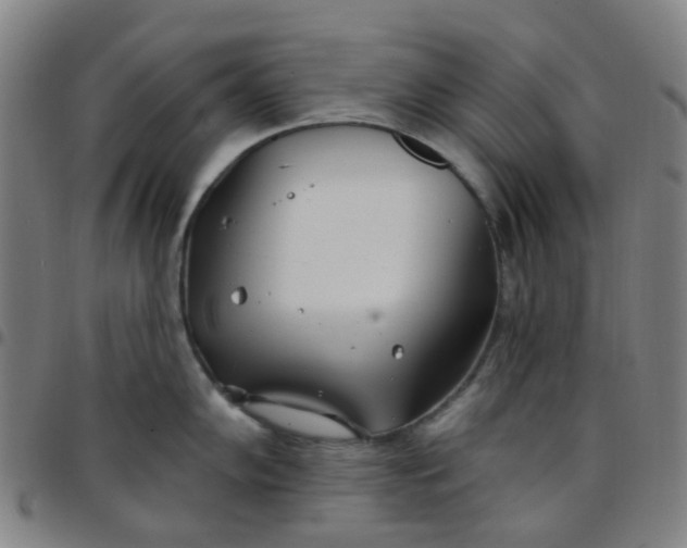 X0000097471102200803071648