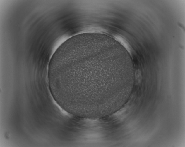 X0000097471103200803071648