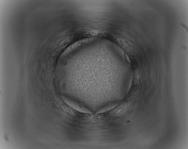 X0000097471105200803071647