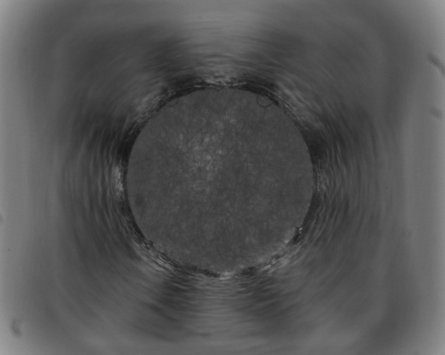X0000097471106200803071647