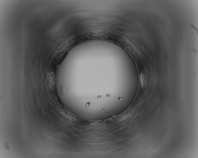 X0000097471107200803071647
