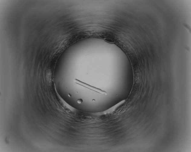 X0000097471108200803071647