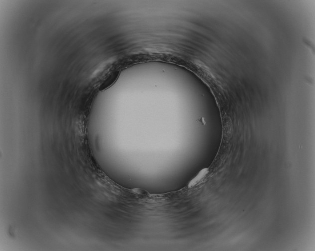 X0000097471110200803071647