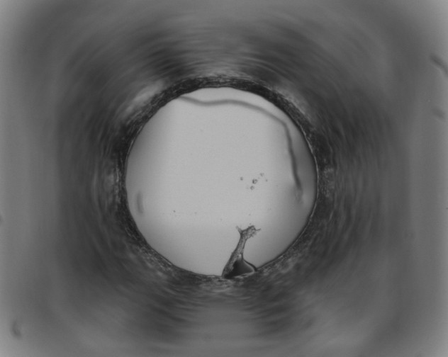 X0000097471111200803071647